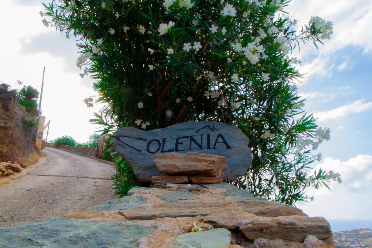 Olenia Residence アギア・ペラギア エクステリア 写真
